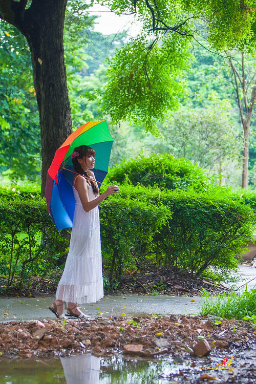 雨中飘荡的回忆