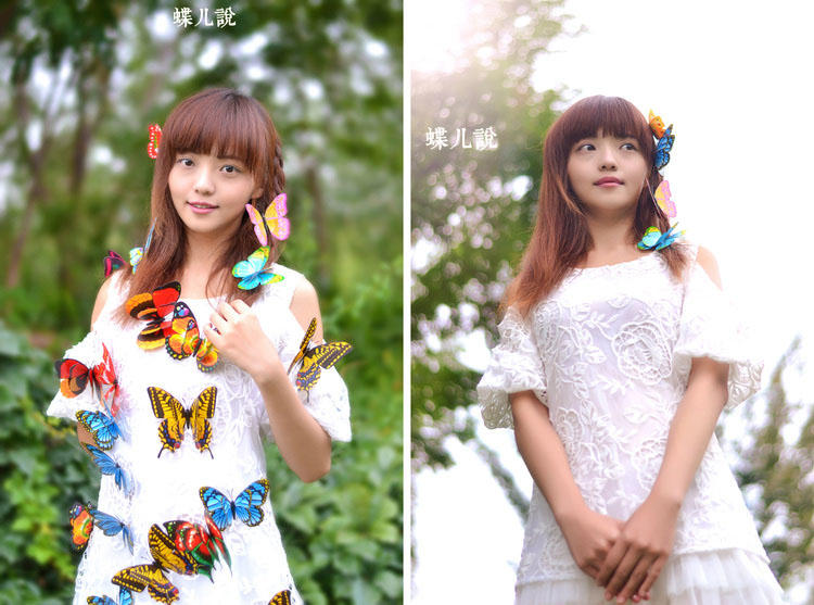 蝴蝶姑娘