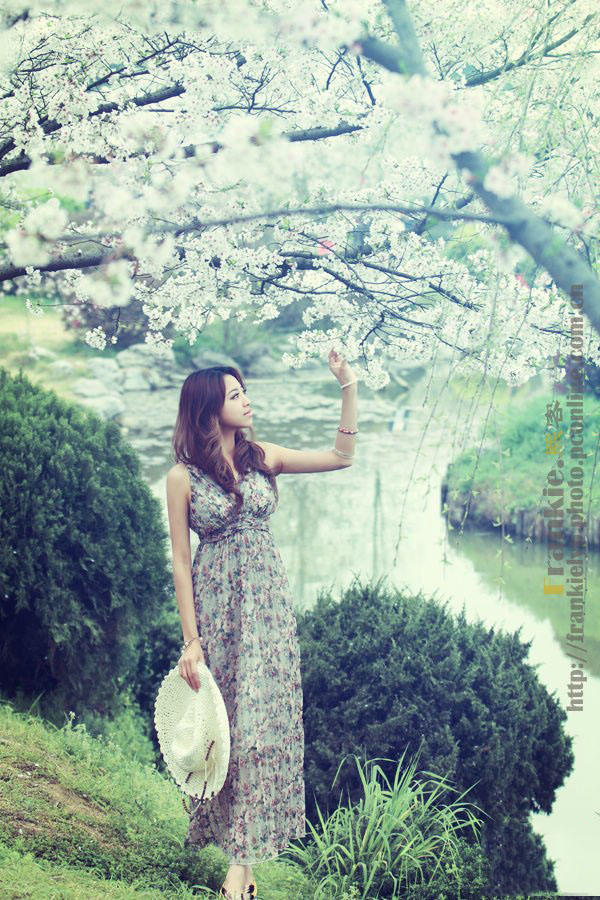 樱花烂漫的季节