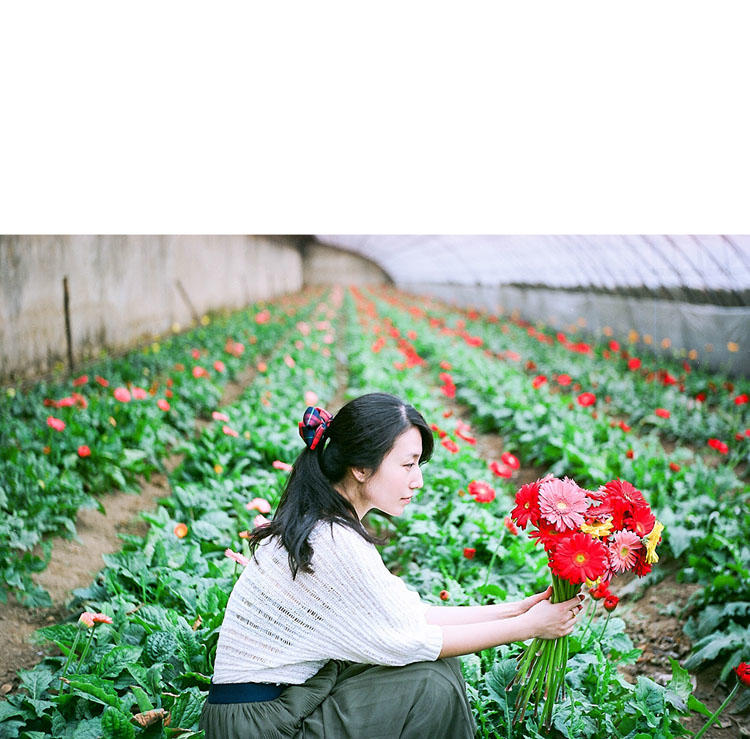 花棚中的唯美少女