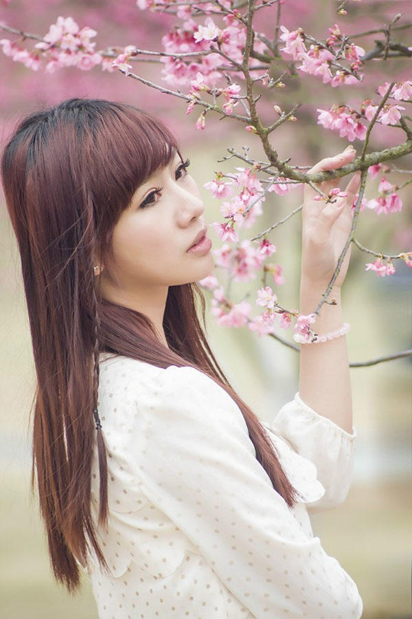 樱花树下的丽人
