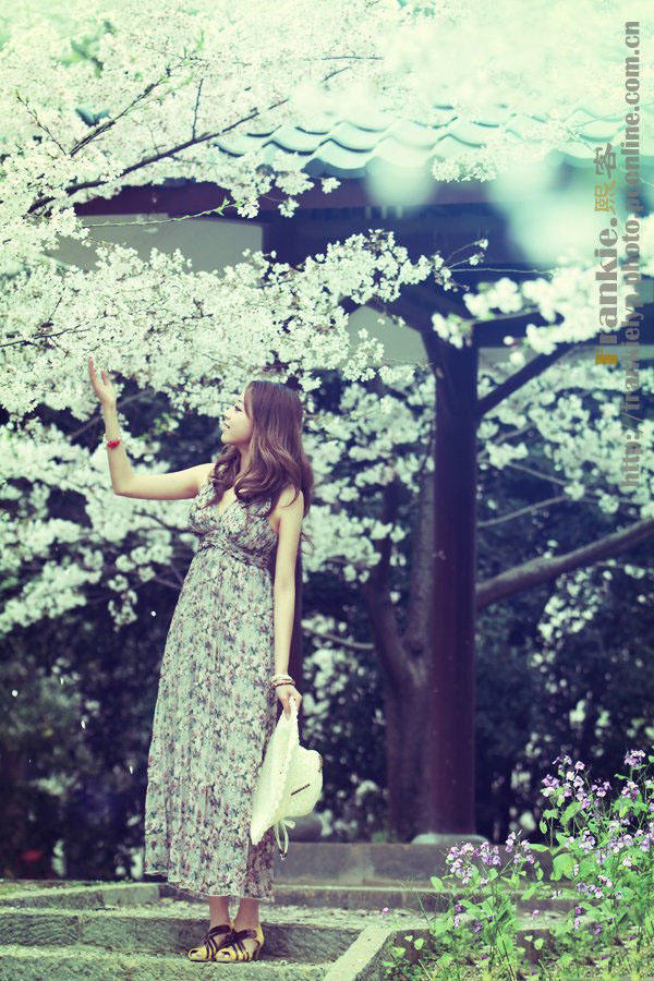 樱花烂漫的季节