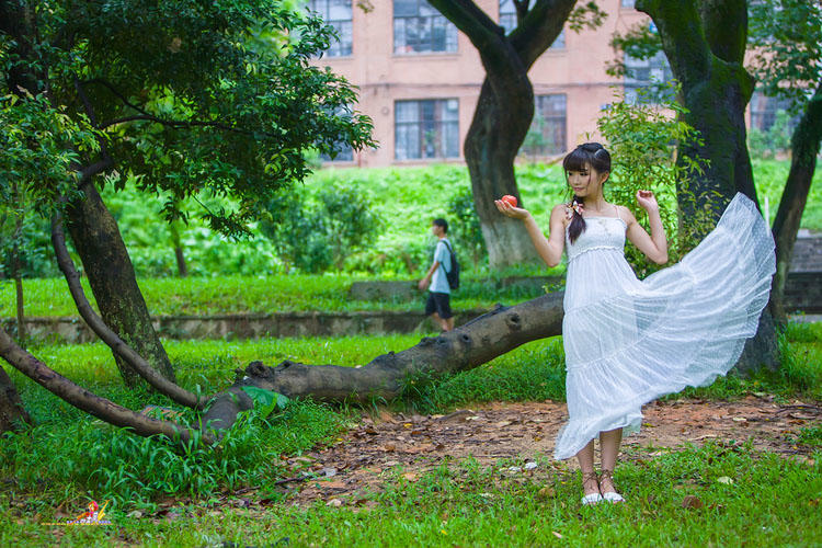 雨中飘荡的回忆