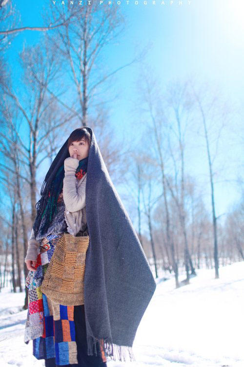 雪原上安静的世界