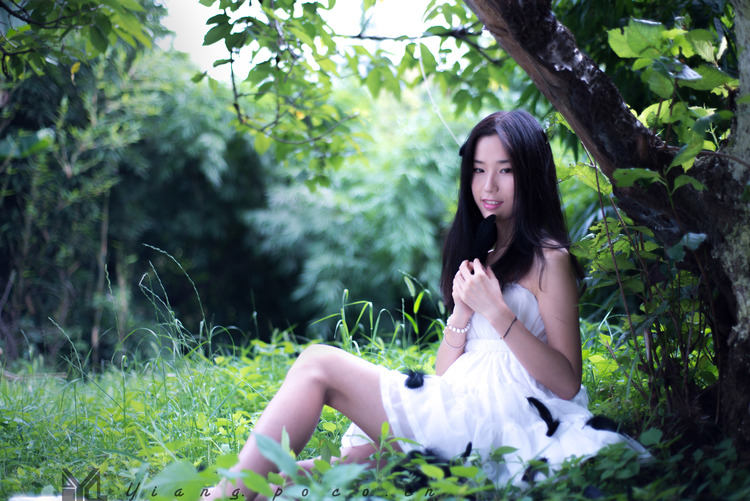 少女阳关绿林中