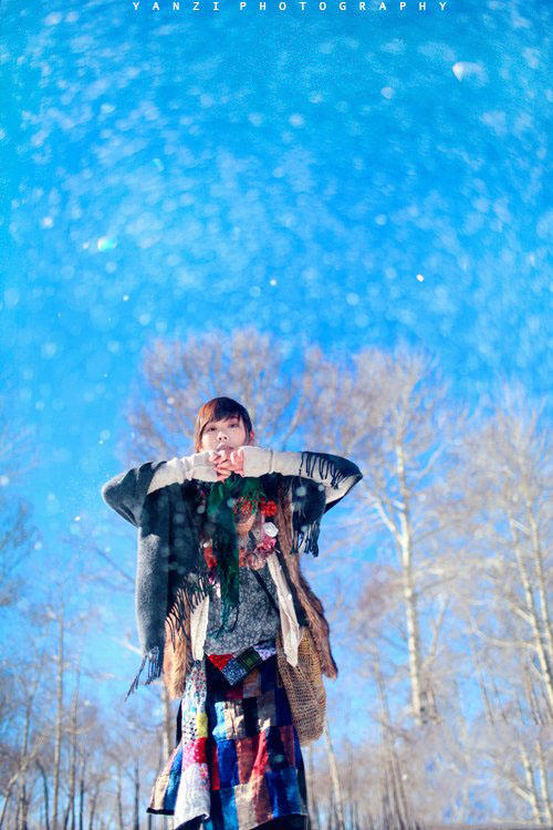 雪原上安静的世界