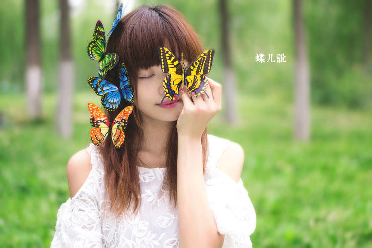 蝴蝶姑娘