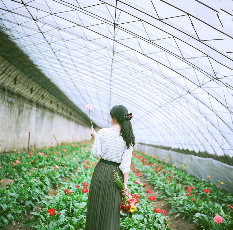 花棚中的唯美少女