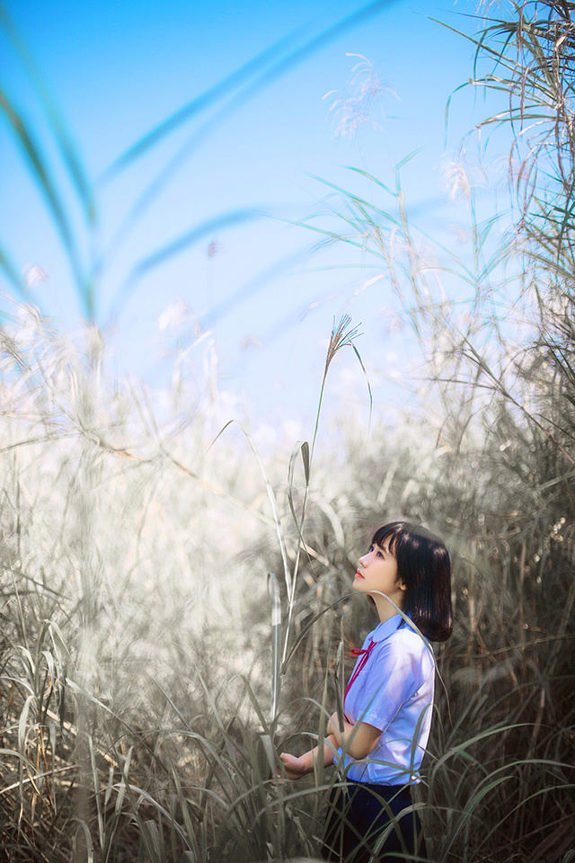 芦苇丛中的可爱校花