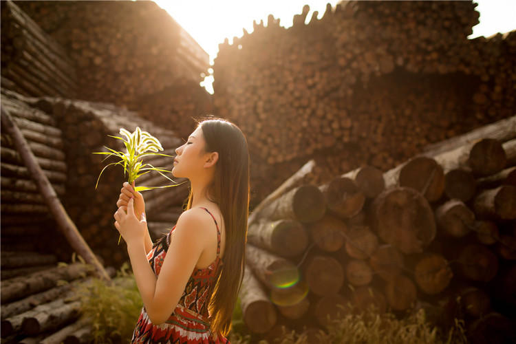 木工厂里的少女
