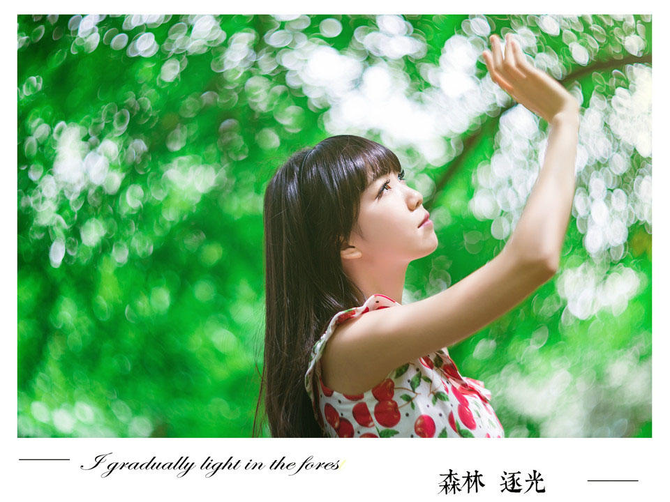 森林逐光