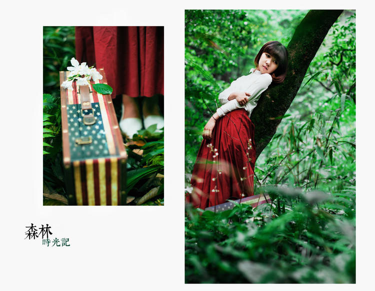 少女森林时光记