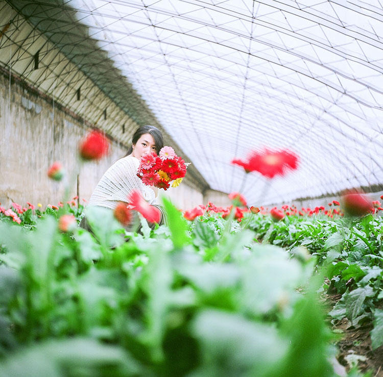 花棚中的唯美少女