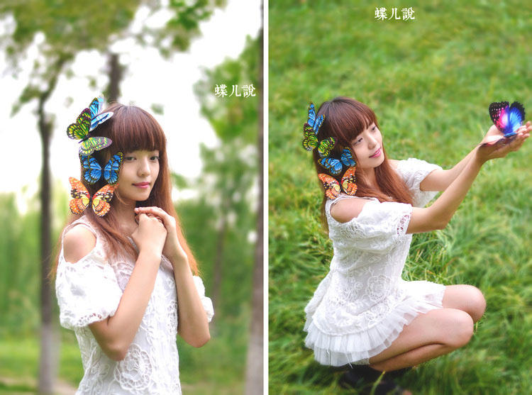 蝴蝶姑娘