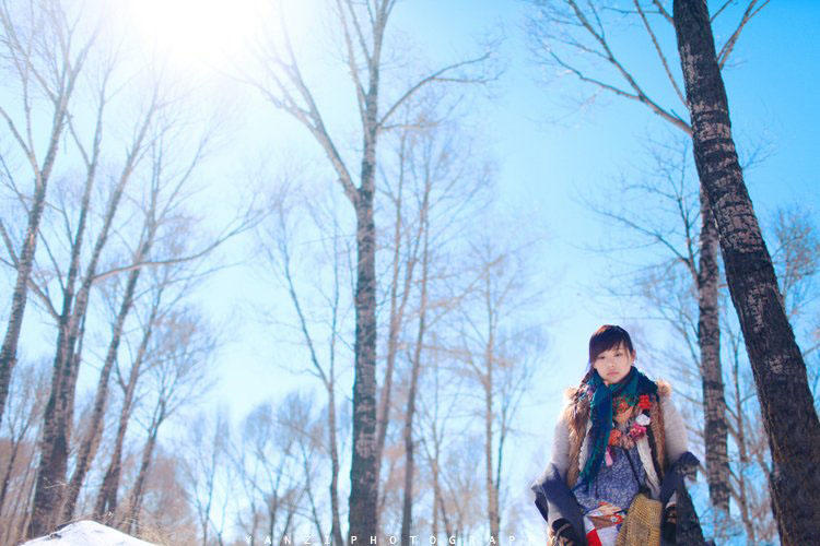 雪原上安静的世界