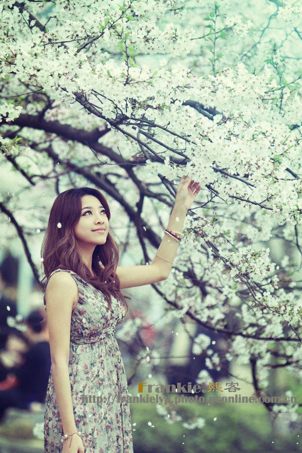 樱花烂漫的季节