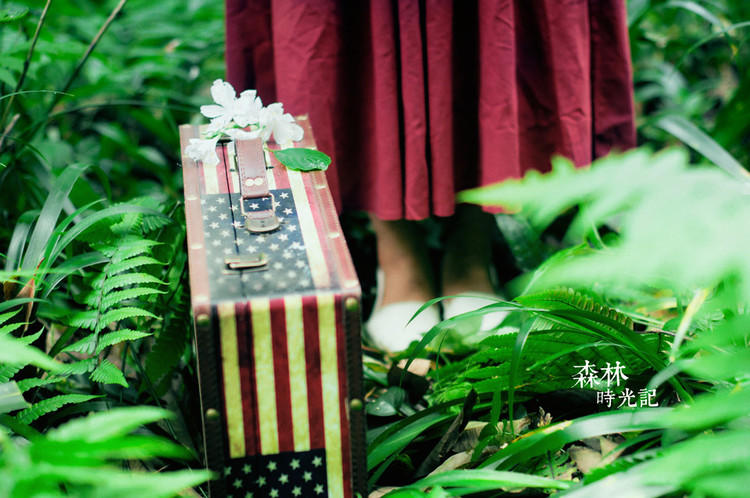 少女森林时光记