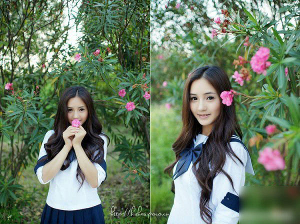 漫山遍野的花海