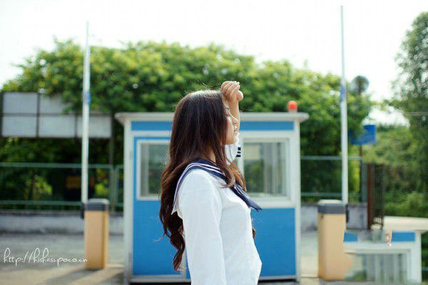 漫山遍野的花海