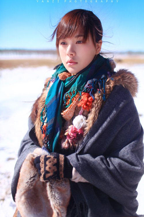 雪原上安静的世界