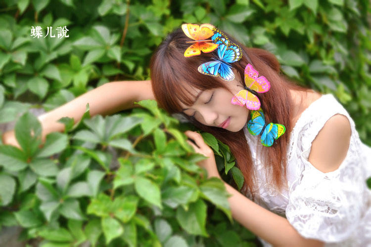 蝴蝶姑娘