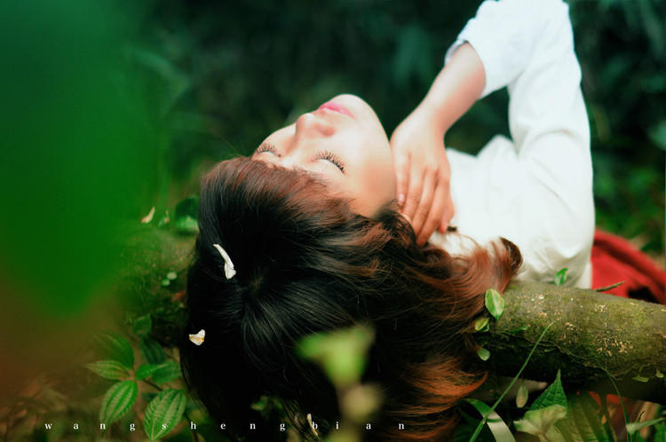 少女森林时光记