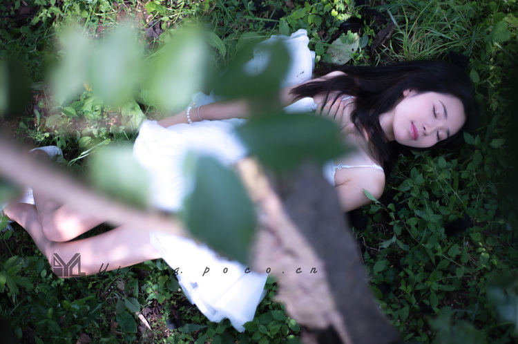 少女阳关绿林中