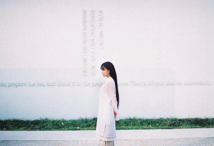 美人如花隔云端