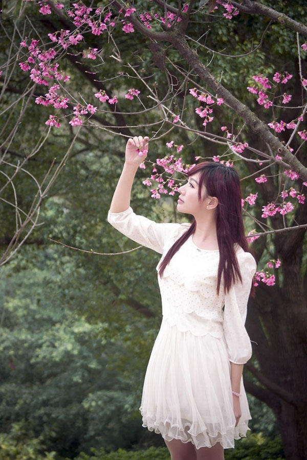 樱花树下的丽人