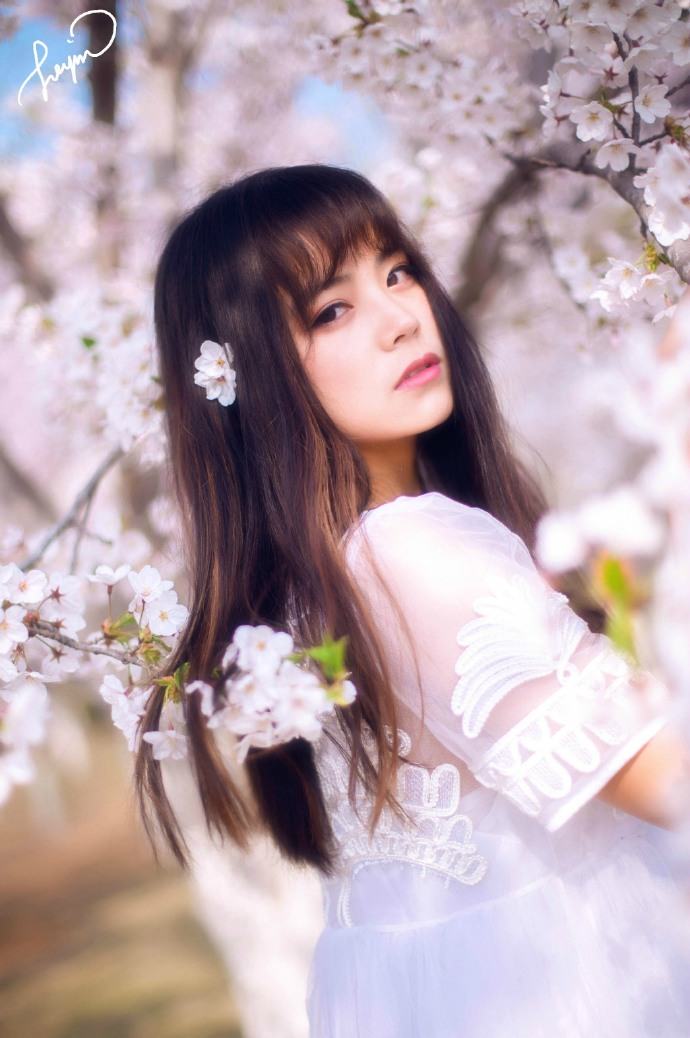 樱花下你的美丽