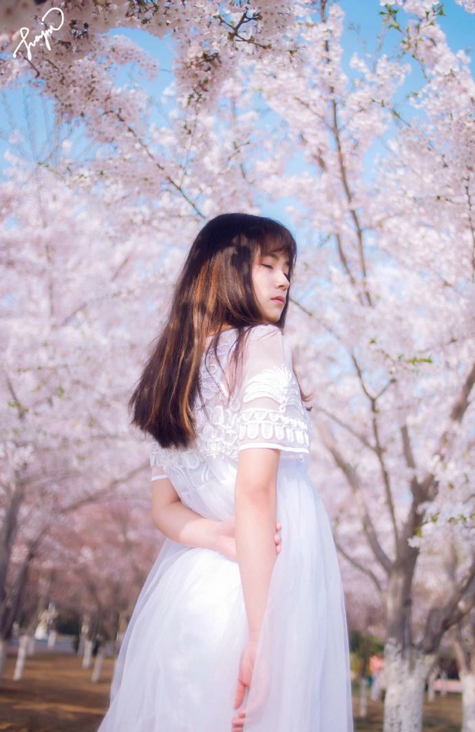 樱花下你的美丽