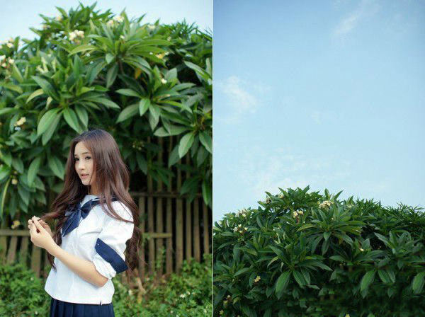 漫山遍野的花海