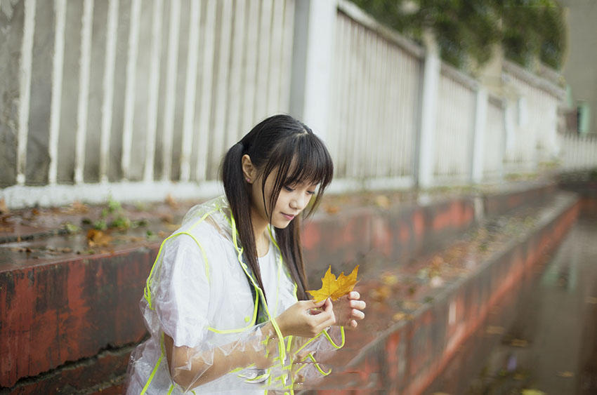 秋雨里你在思念着谁