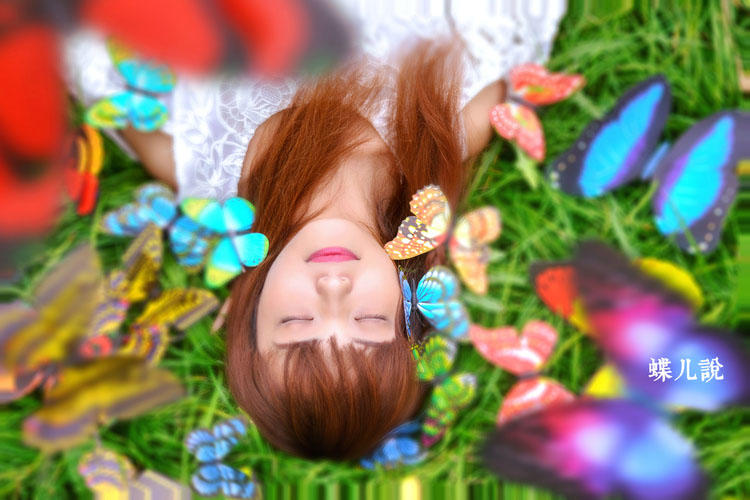 蝴蝶姑娘