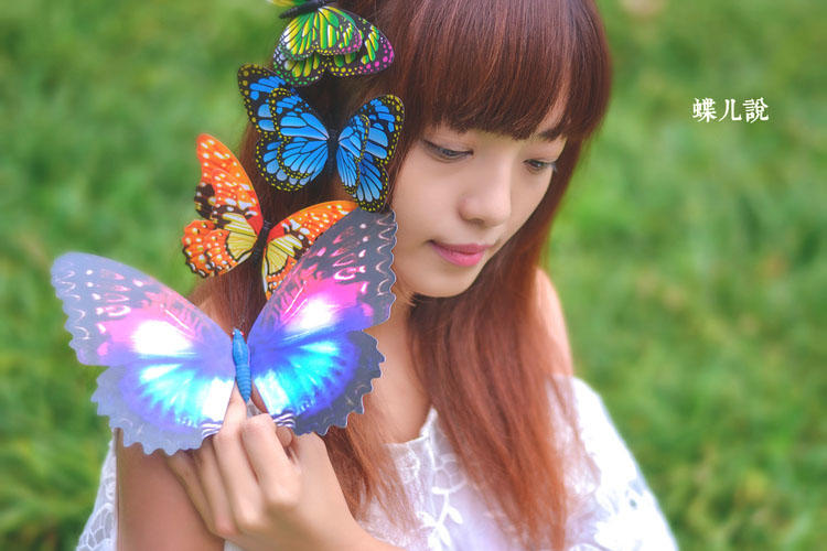 蝴蝶姑娘