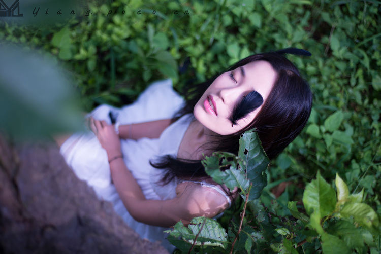 少女阳关绿林中