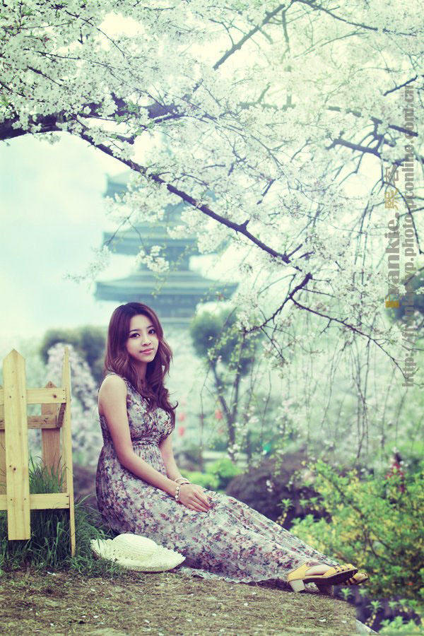 樱花烂漫的季节