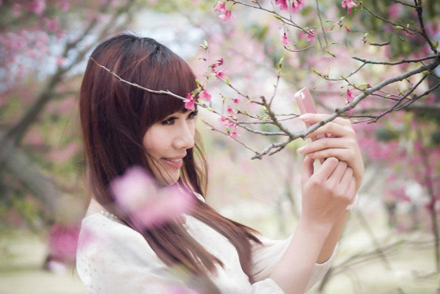 樱花树下的丽人