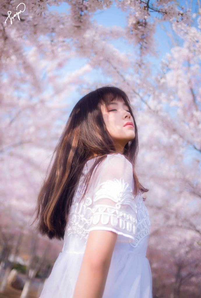 樱花下你的美丽