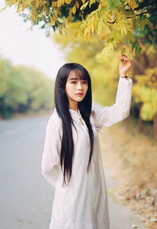 美人如花隔云端