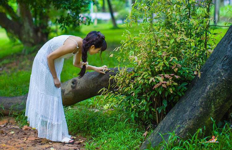 雨中飘荡的回忆