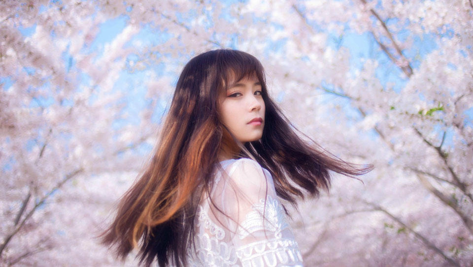 樱花下你的美丽